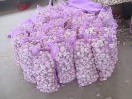Nigerian fresh Garlic