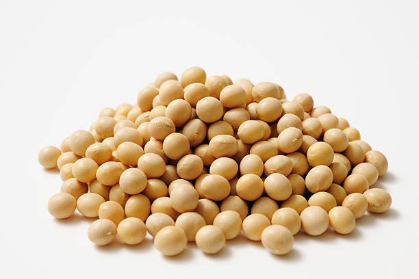Nigerian Soybean Nigerian Soya Beans